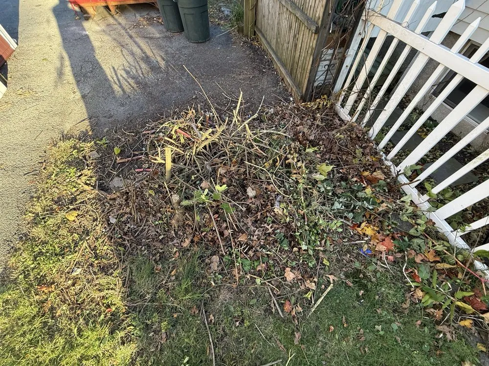 Trusted yard maintenance experts serving Dartmouth, MA - Rooted Horizon