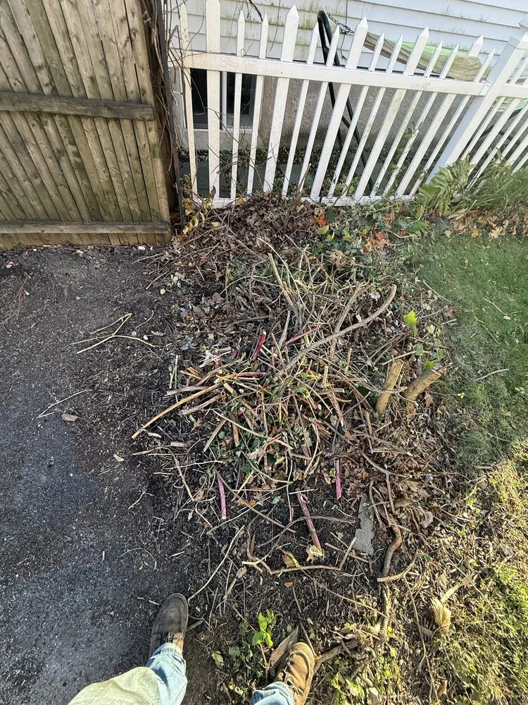 Top-rated yard cleanup service experts serving Dartmouth, MA - Rooted Horizon