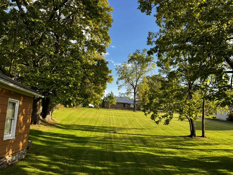 Reliable yard maintenance for year-round maintenance in Scarbro, WV by Rooted In Christ Lawn Care
