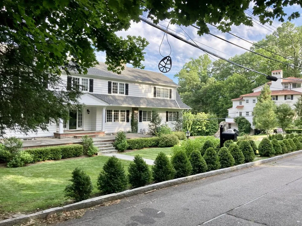 Expert yard cleanup service in Norwalk, CT by Rooted In Plant Health Care