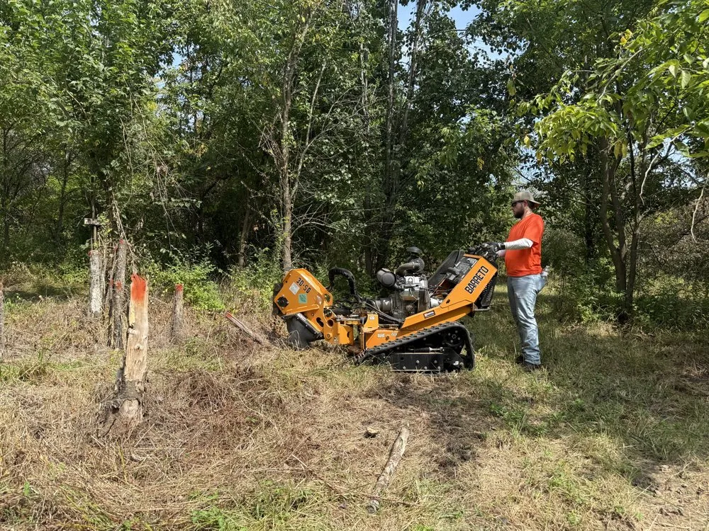 Top-rated lawn mowing service for residential properties across Lee's Summit, MO - Rooted In Rust