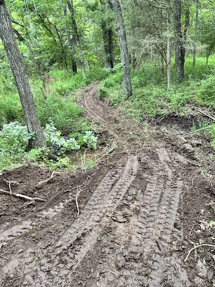 Expert landscape design experts serving Lee's Summit, MO - Rooted In Rust