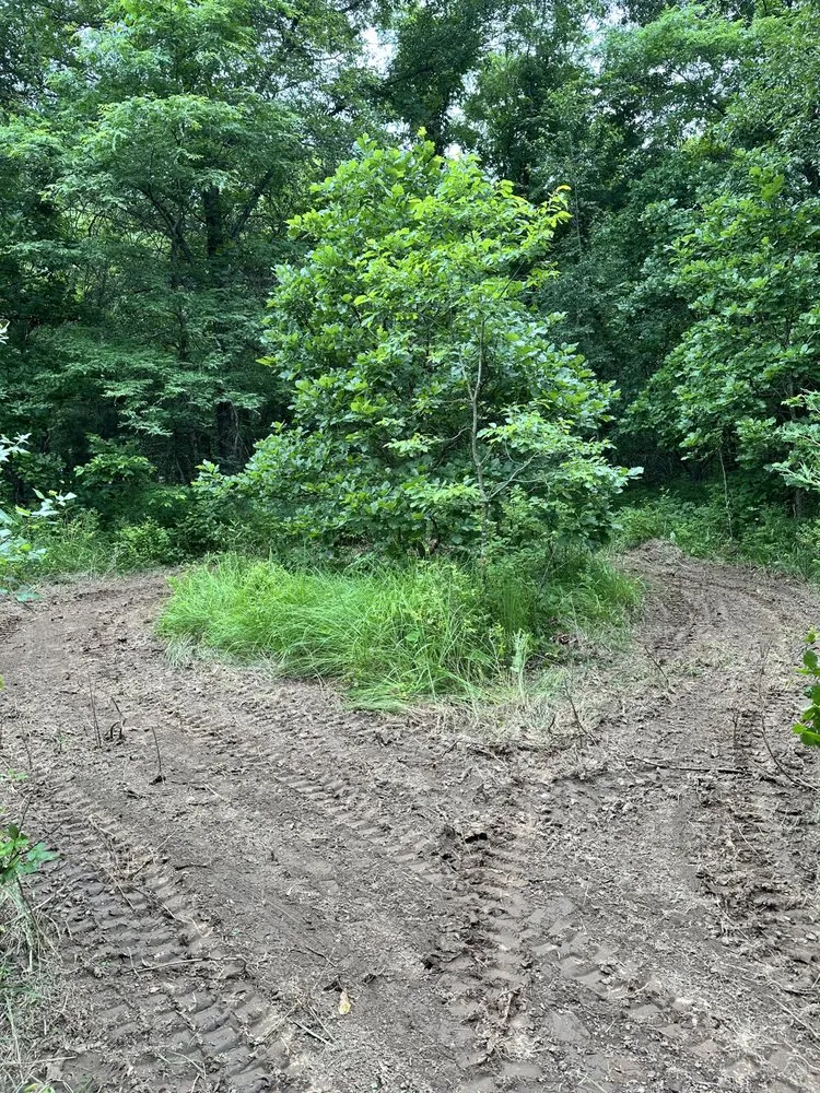 Trusted yard maintenance with custom design across Lee's Summit, MO - Rooted In Rust