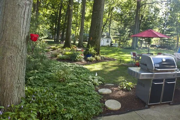 Rooted Landscape and Design