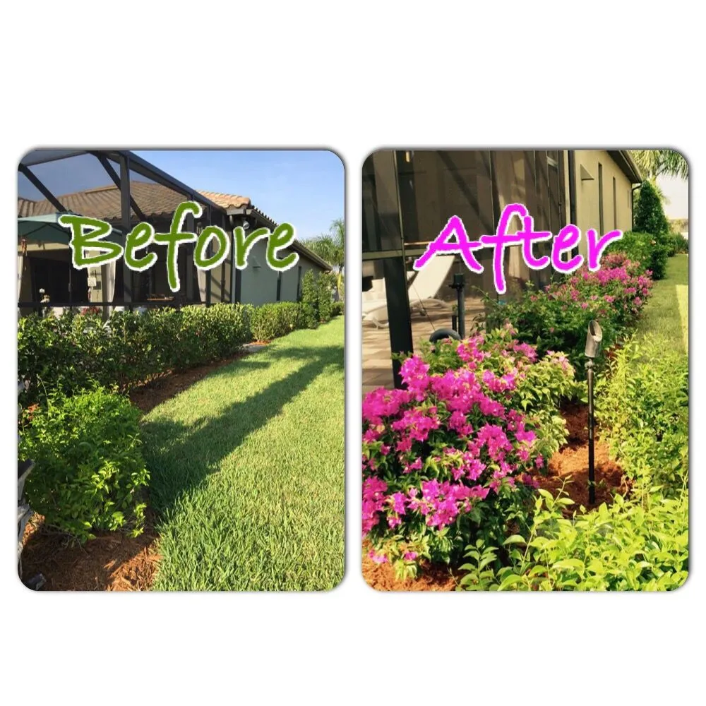 Expert residential landscaping in Estero, FL - Rooted Landscape