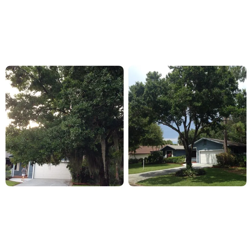 Trusted garden landscaping for outdoor upgrades in Estero, FL by Rooted Landscape