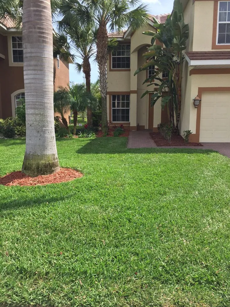 Top-rated landscape design experts serving Estero, FL - Rooted Landscape