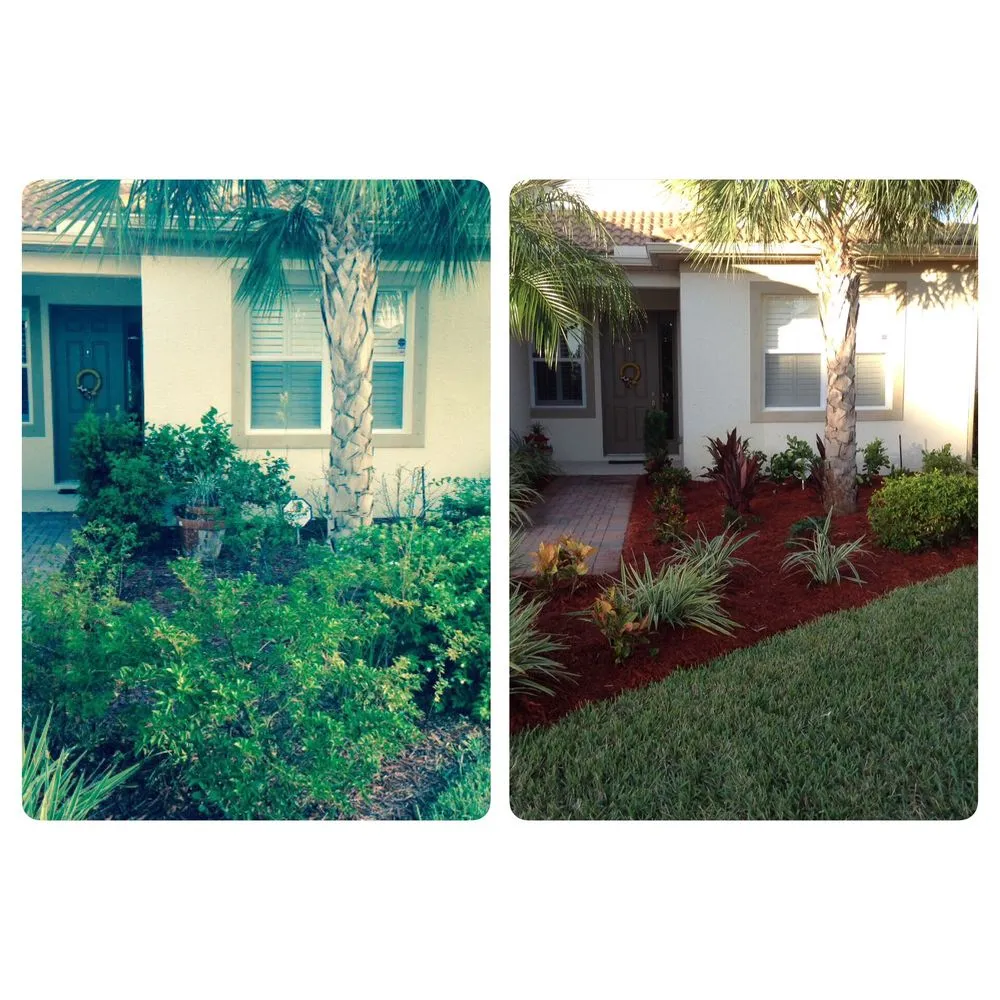 Trusted landscape design in Estero, FL by Rooted Landscape