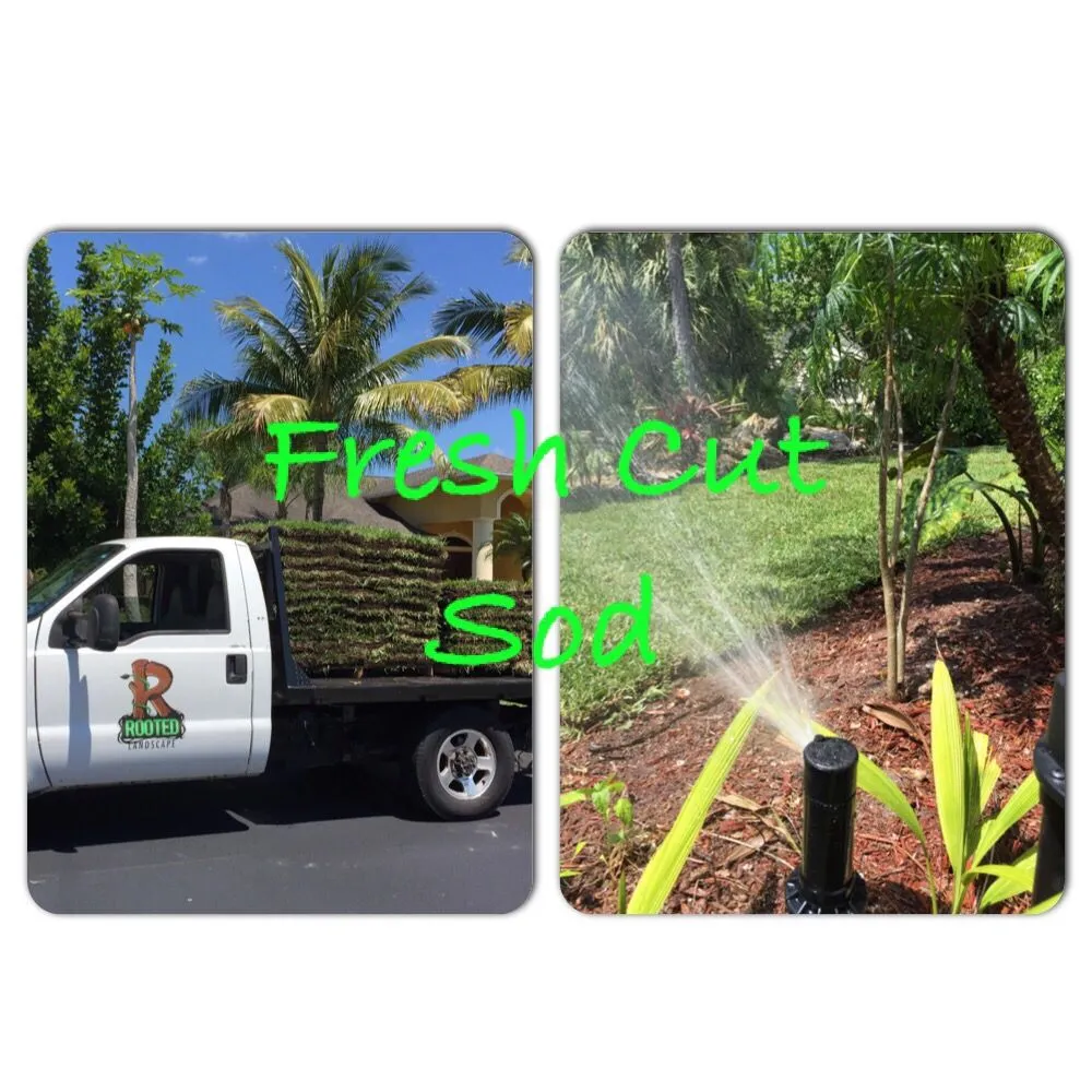 Trusted landscaping services for year-round maintenance in Estero, FL by Rooted Landscape