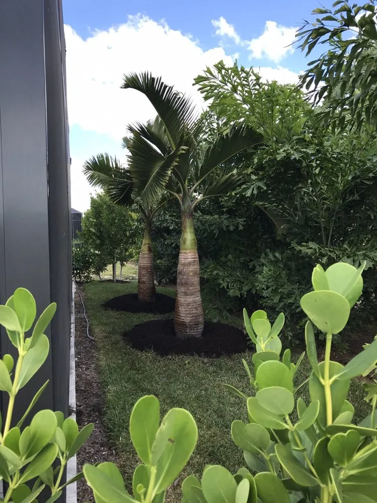 Custom landscaping services with custom design across Estero, FL - Rooted Landscape