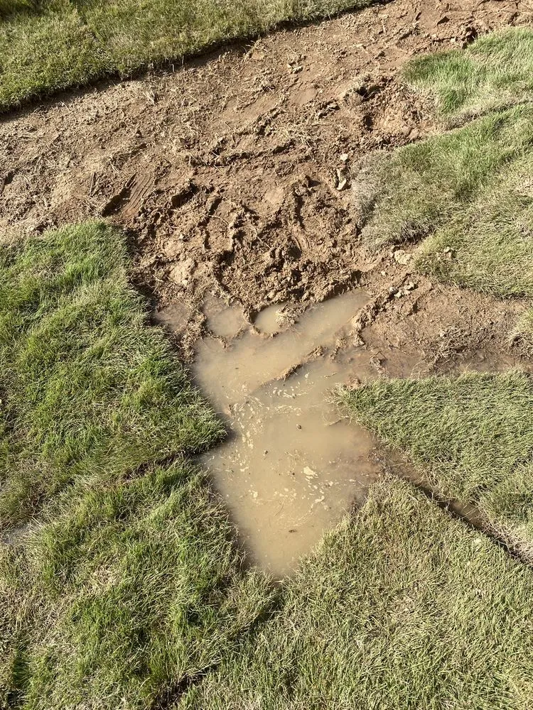 Top-rated lawn mowing service for year-round maintenance across Buford, GA - Rooted Landscape Management