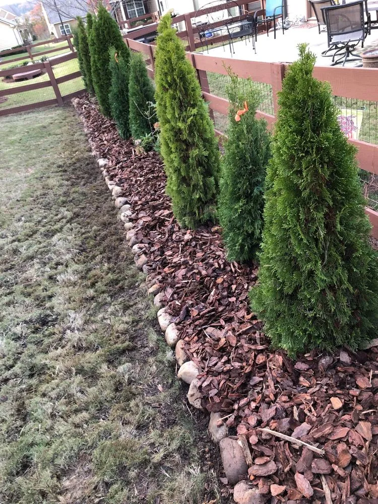 Reliable lawn mowing service in Buford, GA by Rooted Landscape Management