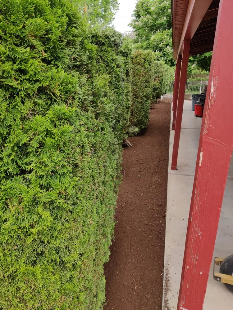 Affordable landscape installation in Nampa, ID - Rooted Landscape