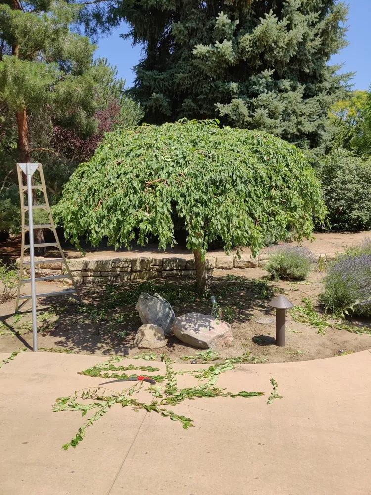 Trusted garden landscaping experts serving Nampa, ID - Rooted Landscape