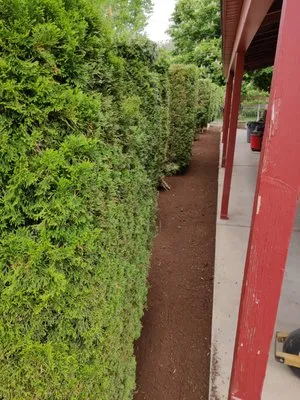 Rooted Landscape Logo