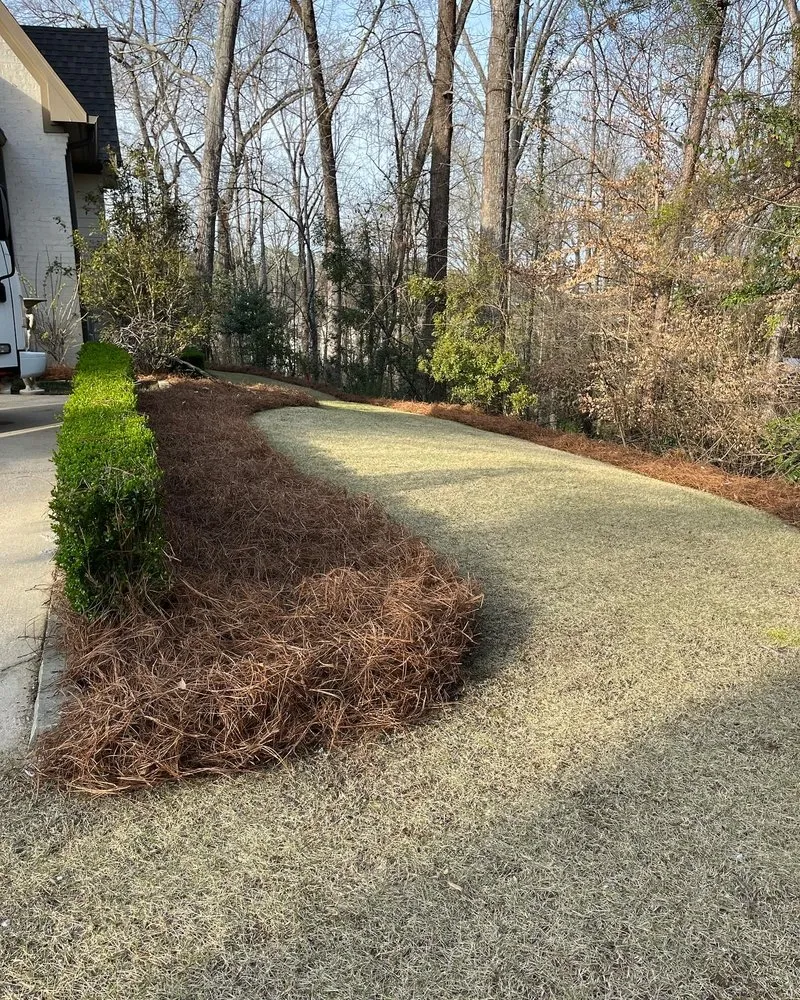 Custom lawn care service with custom design in Birmingham, AL by Rooted Landscaping