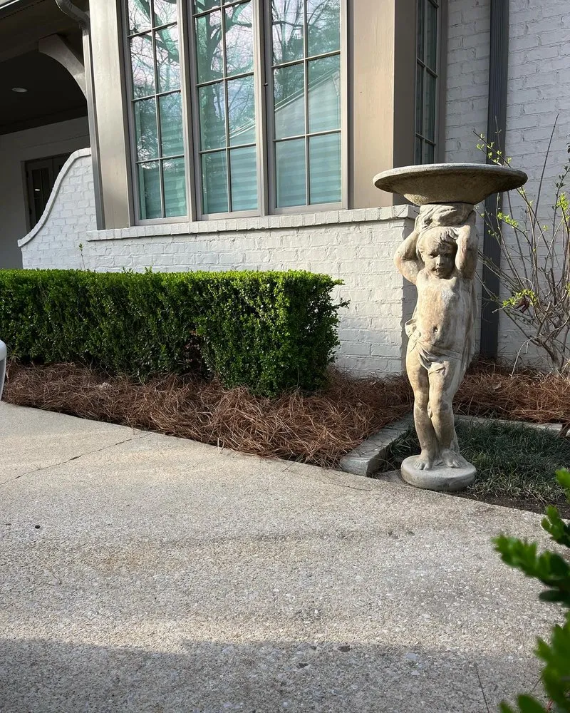 Affordable outdoor landscaping in Birmingham, AL by Rooted Landscaping