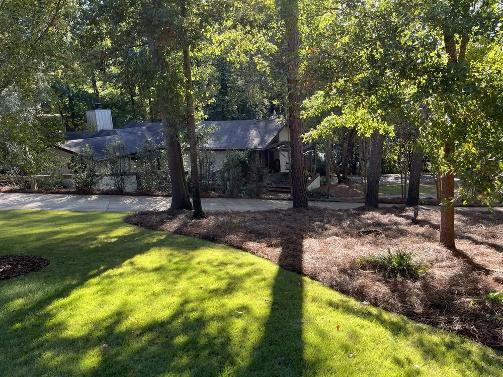 Custom outdoor landscaping in Birmingham, AL by Rooted Landscaping