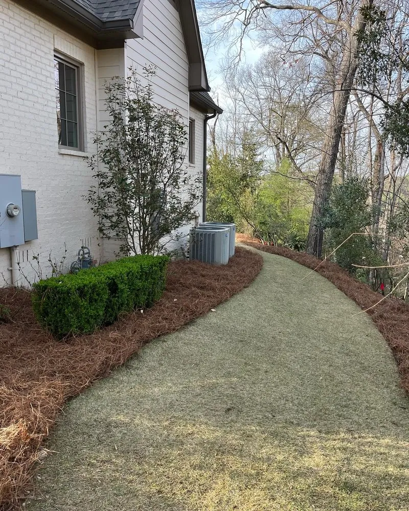 Top-rated landscaping services with custom design across Birmingham, AL - Rooted Landscaping