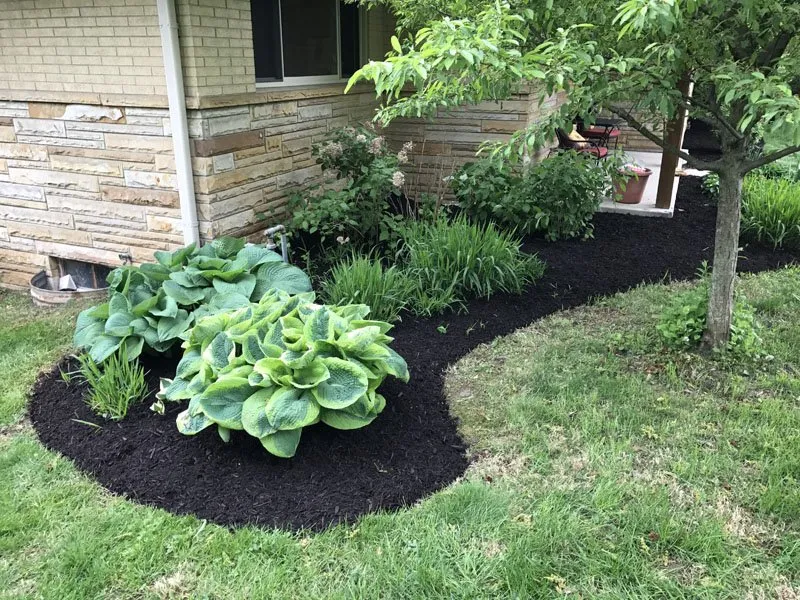 Trusted landscape design for homes in Carmel, IN by Rooted Lawn & Landscape