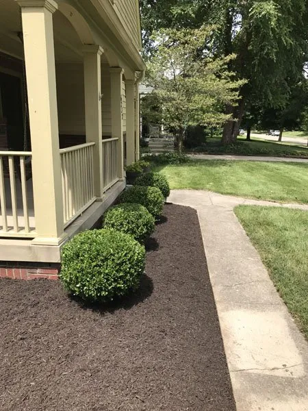Local landscape installation in Carmel, IN by Rooted Lawn & Landscape