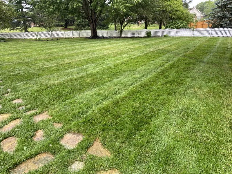 Trusted lawn mowing service for outdoor upgrades in Carmel, IN by Rooted Lawn & Landscape