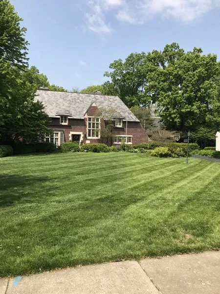 Trusted residential landscaping experts serving Carmel, IN - Rooted Lawn & Landscape