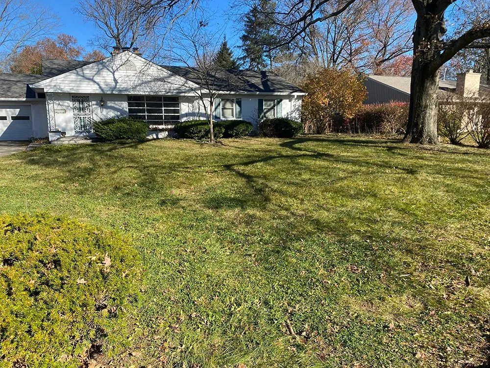 Expert lawn care service in Carmel, IN - Rooted Lawn & Landscape