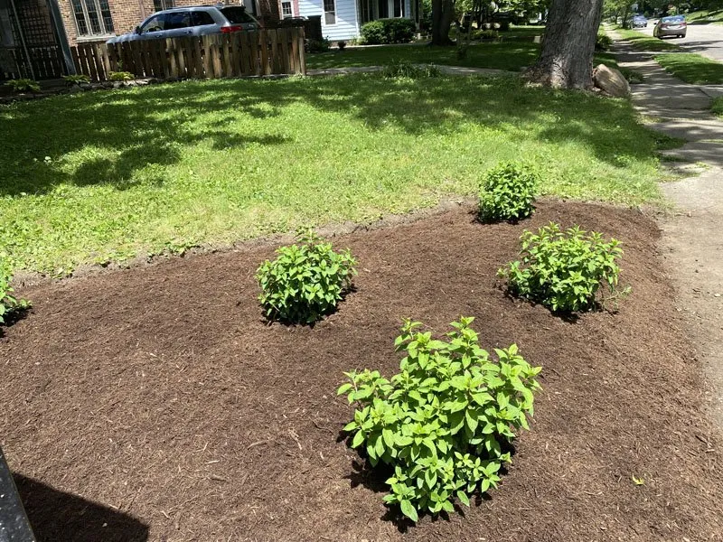 Expert outdoor landscaping for year-round maintenance in Carmel, IN by Rooted Lawn & Landscape