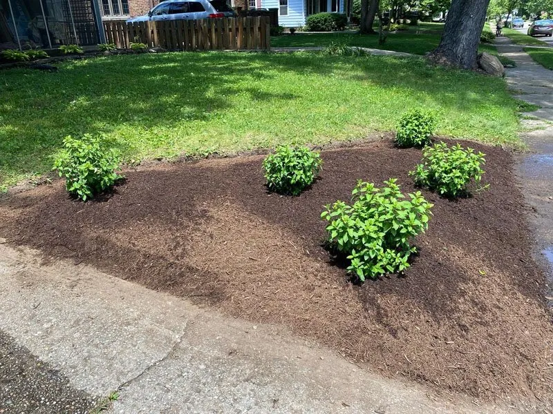 Custom landscape installation experts serving Carmel, IN - Rooted Lawn & Landscape