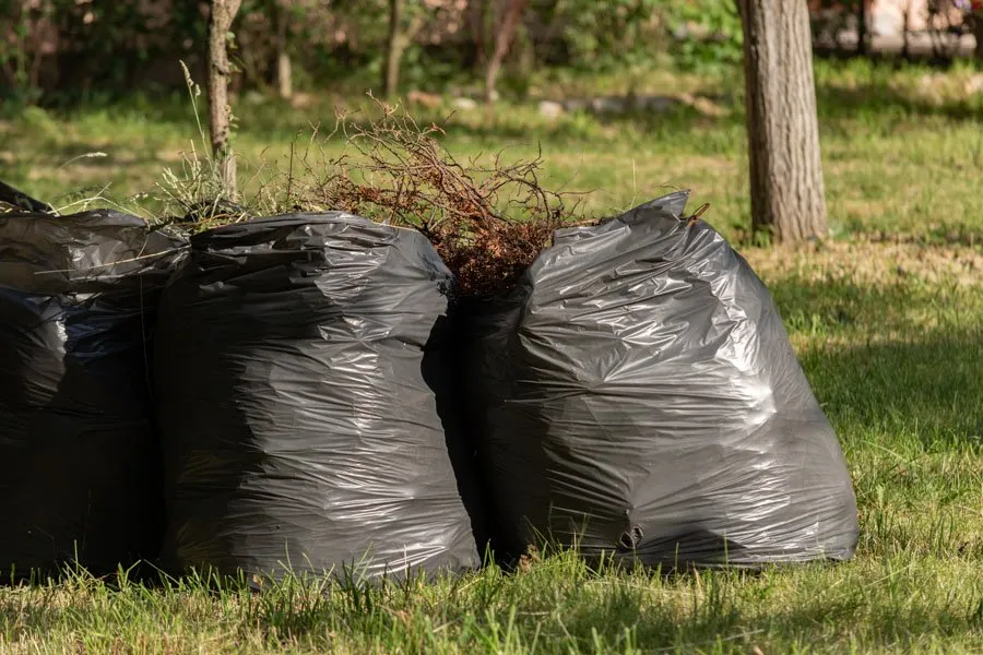 Reliable lawn care service with custom design across Indianapolis, IN - Rooted Lawn & Landscape