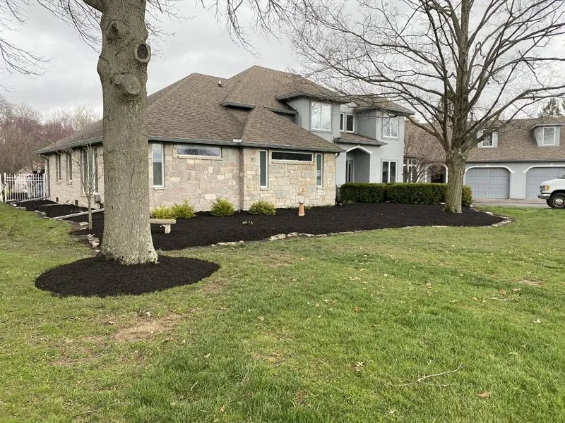 Affordable landscape design for year-round maintenance across Indianapolis, IN - Rooted Lawn & Landscape