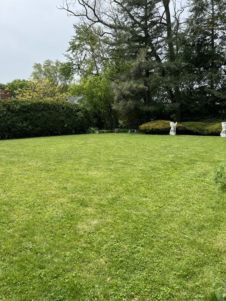 Affordable residential landscaping experts serving Gloversville, NY - Rooted Lawn Care