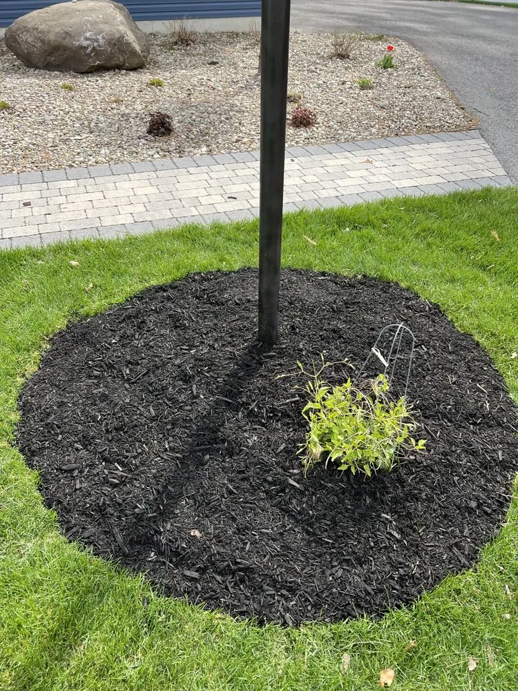 Local yard maintenance near you across Gloversville, NY - Rooted Lawn Care