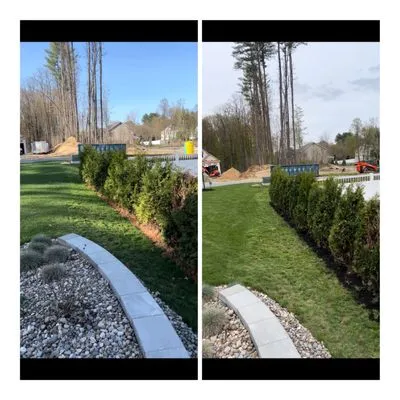 Rooted Lawn Care Logo