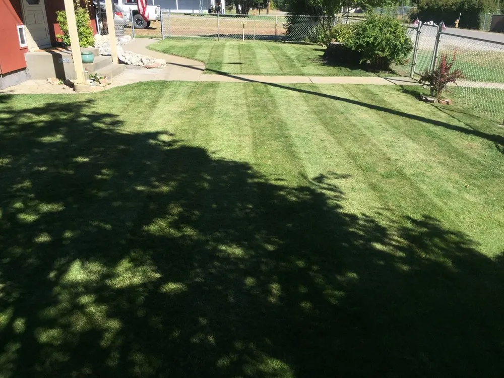 Reliable landscape installation in Ione, WA by Rooted Lawn Care