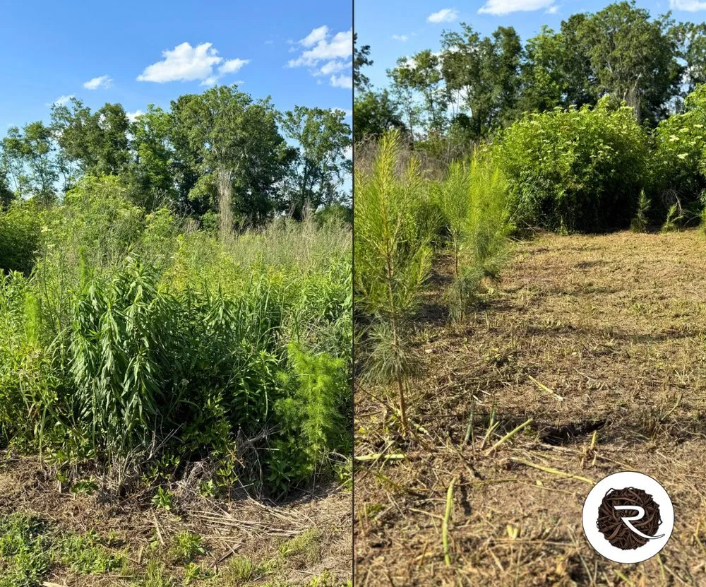 Professional lawn care service for residential properties in Moultrie, GA by Rooted Outdoor Creations