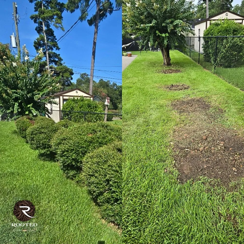 Professional yard maintenance experts serving Moultrie, GA - Rooted Outdoor Creations