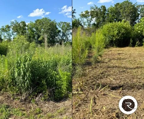 Rooted Outdoor Creations