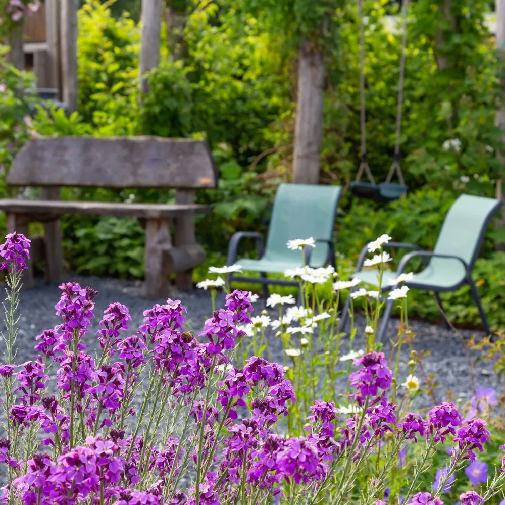 Custom lawn care service experts serving Oswego, IL - Rooted Outdoor Living