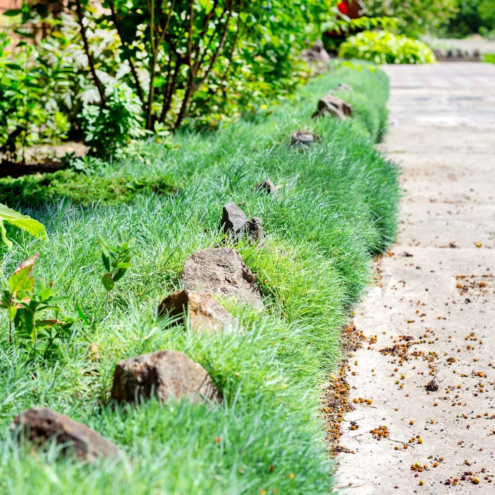 Expert residential landscaping in Oswego, IL by Rooted Outdoor Living