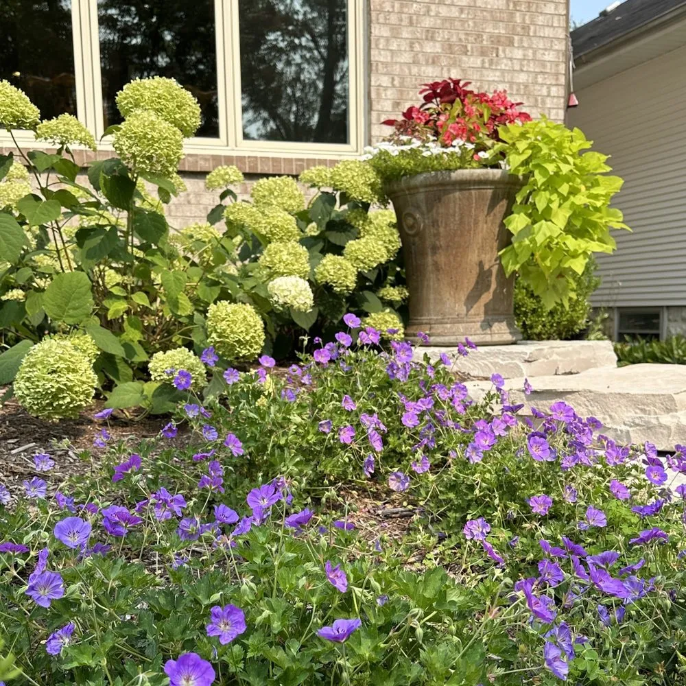 Top-rated outdoor landscaping in Oswego, IL by Rooted Outdoor Living