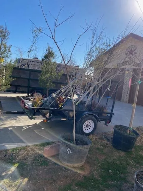 Top-rated residential landscaping for outdoor upgrades across Midland, TX - Rooted R&E