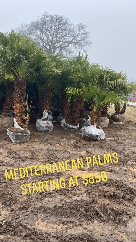 Affordable garden landscaping in Midland, TX by Rooted R&E