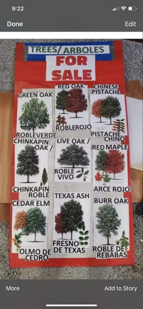 Trusted residential landscaping for year-round maintenance in Midland, TX by Rooted R&E