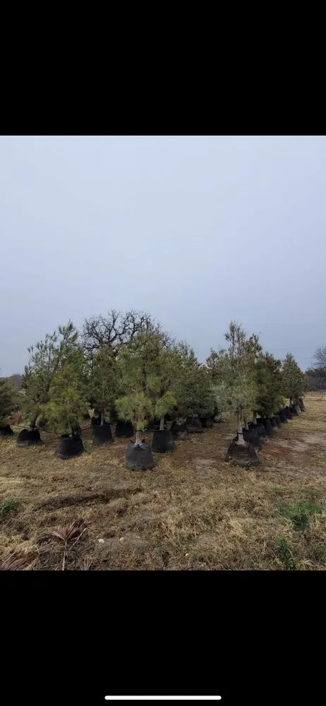 Reliable landscape installation for beautiful yards across Midland, TX - Rooted R&E