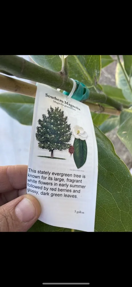 Affordable lawn care service for year-round maintenance in Midland, TX by Rooted R&E