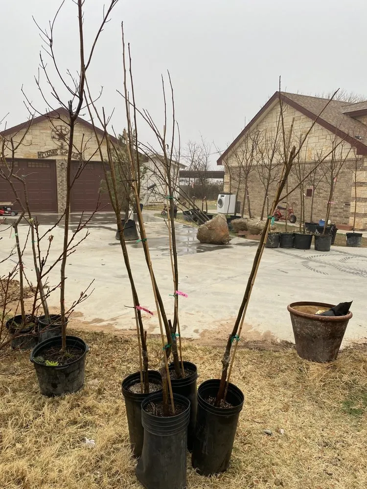 Affordable landscape design for year-round maintenance in Midland, TX by Rooted R&E