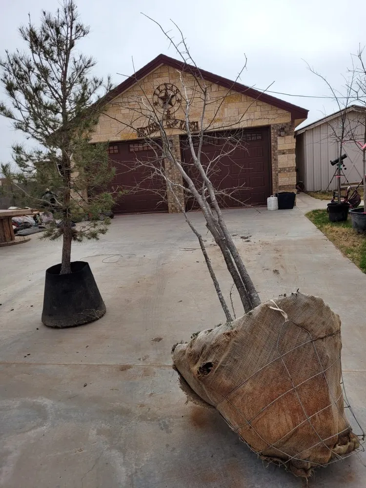 Professional yard cleanup service experts serving Midland, TX - Rooted R&E