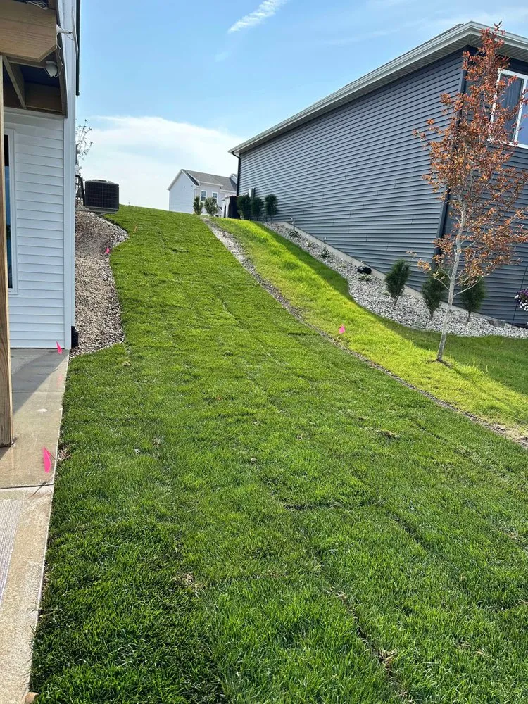 Trusted yard maintenance in Battle Creek, MI - Rooted Sod